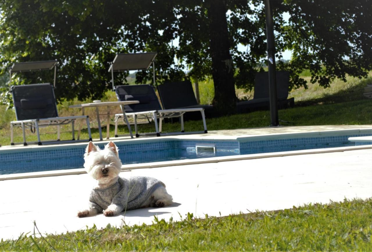 Le Shedeaux Villa Saint-Privat-des-Prés Kültér fotó
